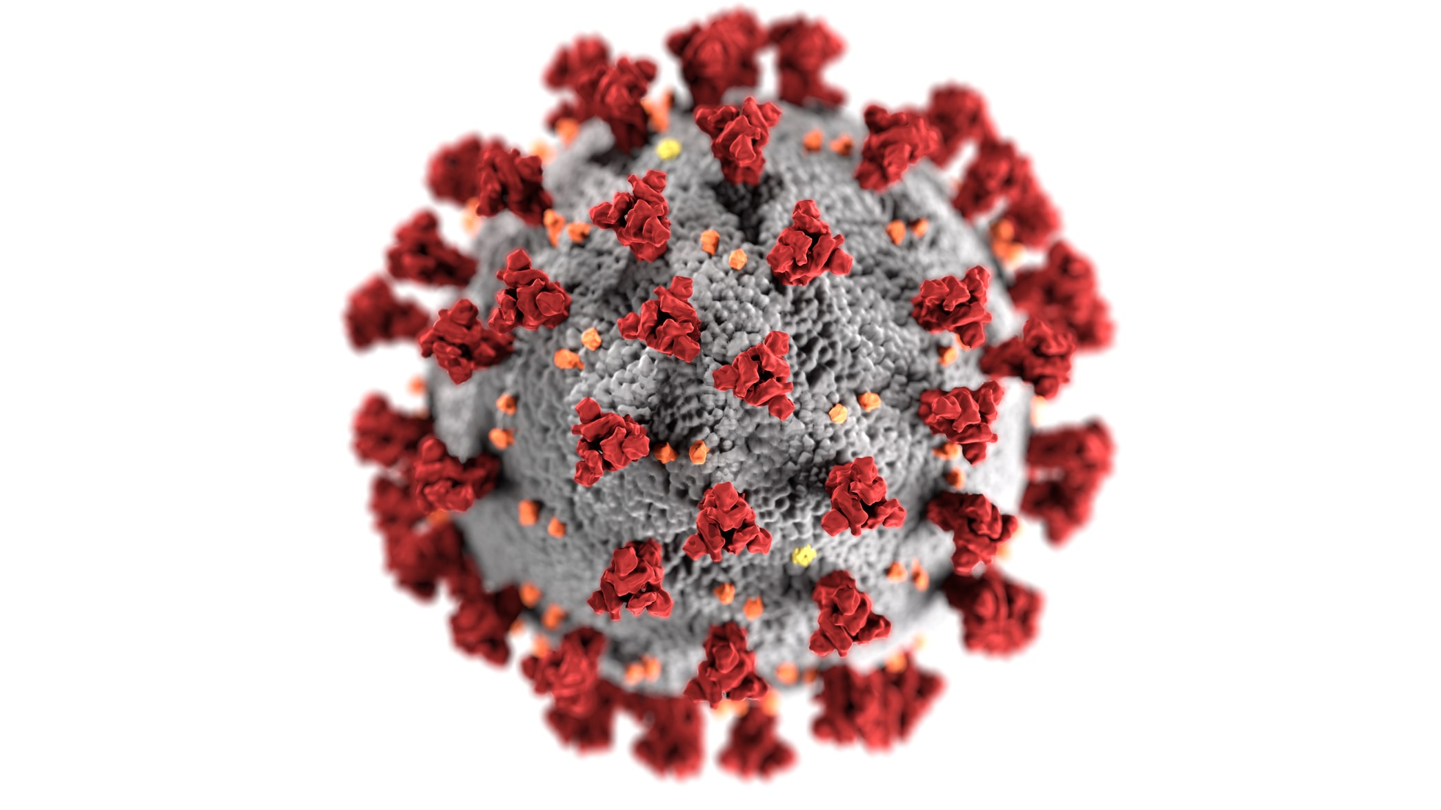 Covid-19 virus