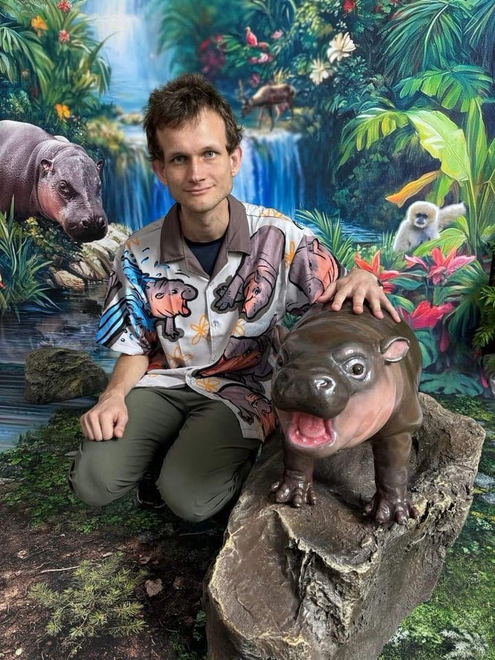 Vitalik Buterin at DevCon 2024